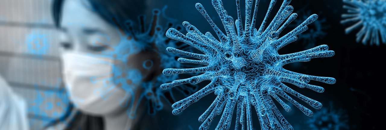 Coronavirus (Imagen Pixabay)